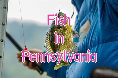 fishing wuote|Iba pa.